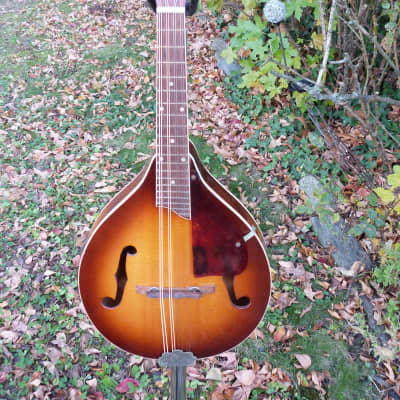 Harmony Monterey mandolin for sale