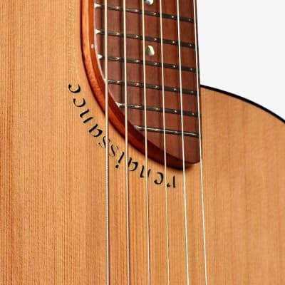 Rick Turner Renaissance RS6 Cedar / Walnut #5906 image 12