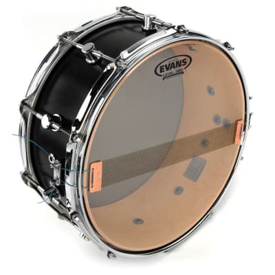 Evans S13H20 Clear 200 Snare Side Drum Head, 13 Inch image 1