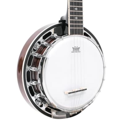 Gold Tone BG-Mini Short Scale 8" Mini Bluegrass 5-String Banjo  w/Case, New, Free Shipping, Authorized Dealer, Demo Video! image 4