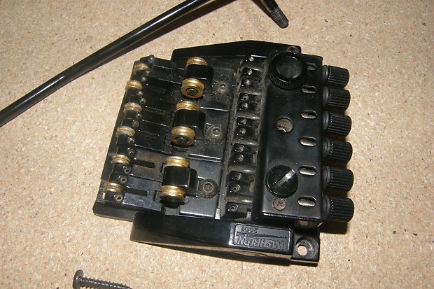 Washburn tremolo top
