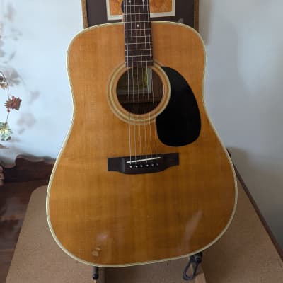 Suzuki W-100 70's Natural Gloss | Reverb Canada