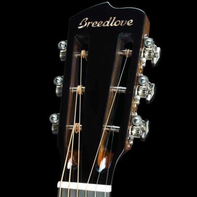 Breedlove Legacy Concertina Natural Shadow CE Adirondack Spruce/Cocobolo Acoustic Guitar image 6