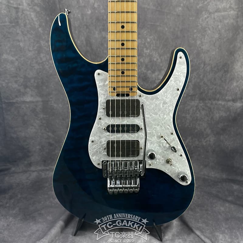 2010's SCHECTER 2010s SD-II-24-AS image 1