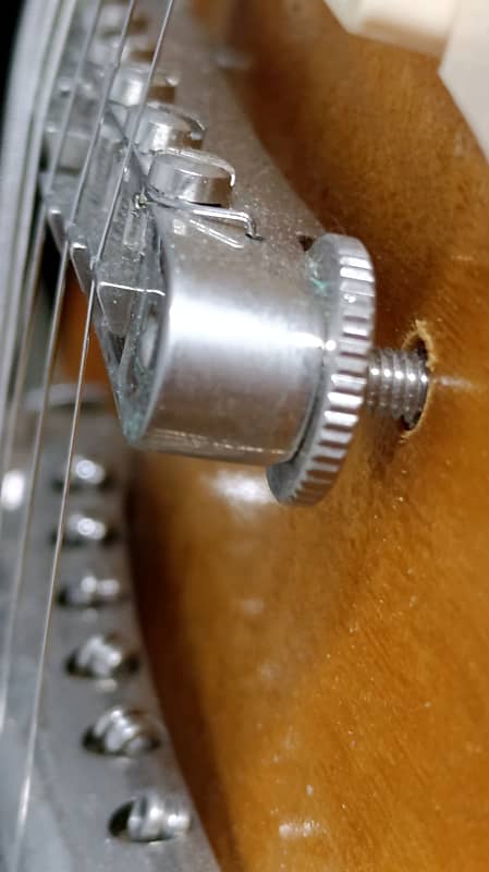 Edwards E-LP 135 ALS/RE (Honey Relic) Seymour Duncan