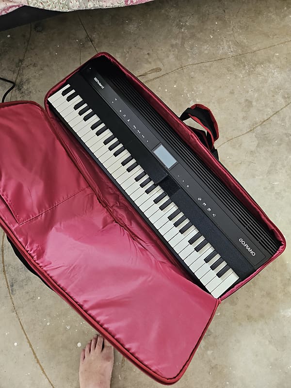 Roland GO-61P GO:PIANO 61-Key Digital Piano 2017 - Present - Black image 1