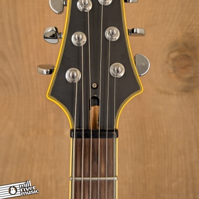 Schecter Diamond 2009 Anniversary w/ Bag Used image 3