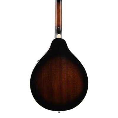 Ibanez M510 A Style Mandolin Dark Violin Sunburst image 5