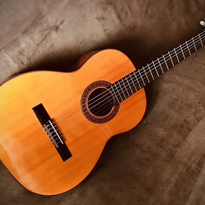 vintage classical guitar Giannini AWNM3, made in Brazil, 1977 for sale