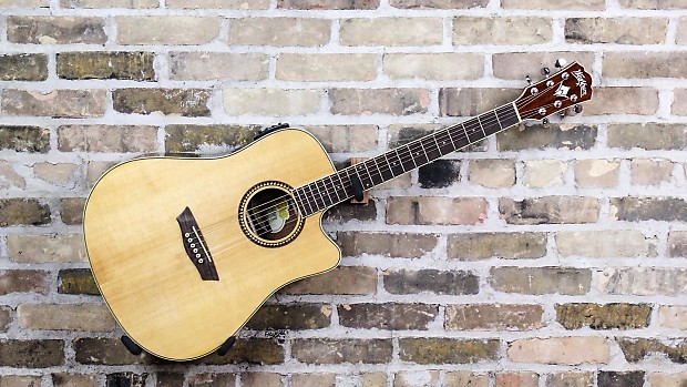 Washburn wd12sce top