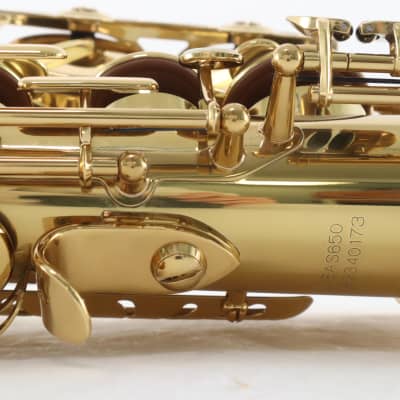 Eastman Model EAS850 Professional Alto Saxophone 'Rue Saint-Georges' GORGEOUS image 22