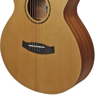 Tanglewood TWR20 Roadster Folk Acoustic Guitar image 4