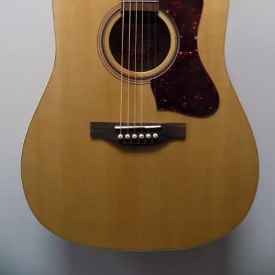 Norman B20 GT Presys II Acoustic Electric Guitar - Cosmetic flaw on heal of neck for sale