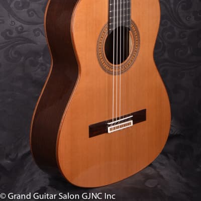 Daniel Stark "Espagnola II" classical guitar  Cedar/Wenge B & Sides image 6
