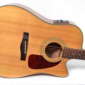 Fender dg20ce sale