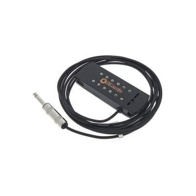 DP 138 Black Virtual Acoustic Dimarzio image 2