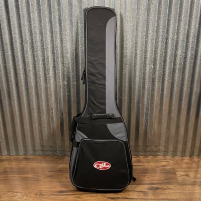 G&L USA BTO SB-1 4 String Bass Andromeda & Bag #2033 image 12