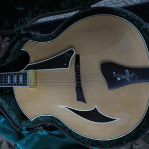 Big Opportunity-  Parker  PJ14 Hollow Body Jazz Guitar - never been owned 2009 Natural image 18