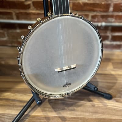 Whitewater Open Back 5 String Banjo with gig bag image 2