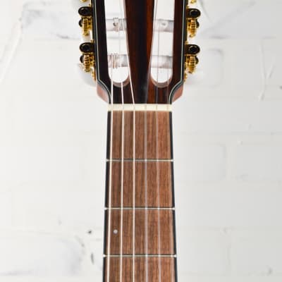 Ibanez FRH10NBSF Thinline Nylon Acoustic-electric Guitar - Brown Sunburst image 5