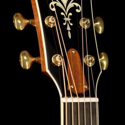 Taylor Willcutt Acoustic Suites Special Edition GAce Cocobolo (141) image 5