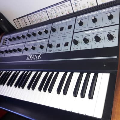 mint CRUMAR  STRATUS vintage polyphonic analog synthesizer + rare accessories image 3