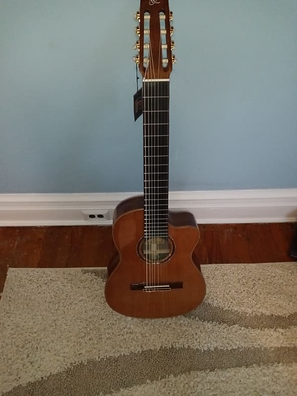 Ortega Nylon String Guitar R189SN-25TH w/Bag