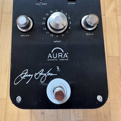 Rare Beard Jerry Douglas Signature LTD 2009 with Fishman Aura Resophonic pedal image 12