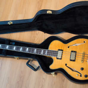 Left-handed D'Angelico EX-SS/bass image 1