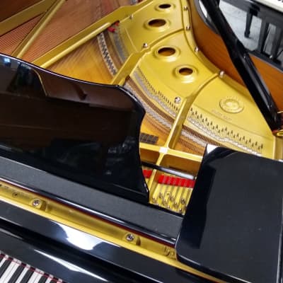 Yamaha C3 Grand Piano image 5