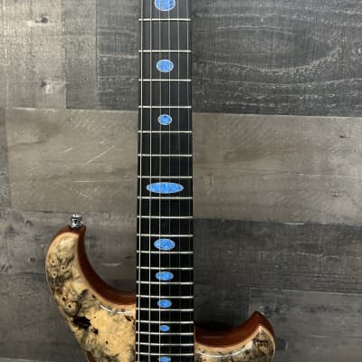 Alembic Darling Buckeye Burl with Denim Lapis ovals 2023 we are Alembic Dealers Brand New ! image 5