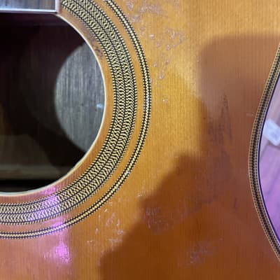 Cameo Acoustic Guitar image 7