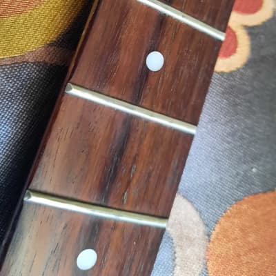 Epiphone special neck relic project image 2