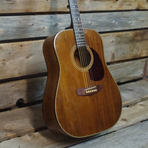 Fender Newporter  Mahogany Acoustic Guitar image 6