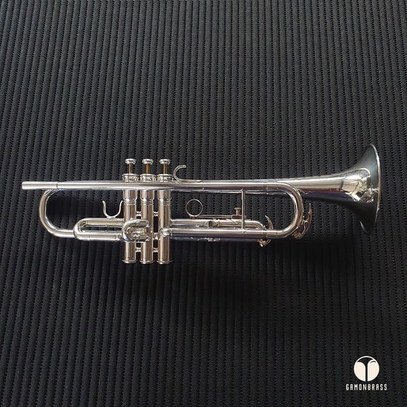 Semi Pro King Super Tempo 1501 USA, case, mouthpiece, mute Reverb