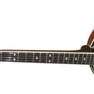 STAGG Left handed Model 5 String Bluegrass Banjo Deluxe with Metal Pot lefty for sale