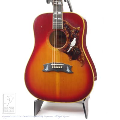 Gibson Dove Custom 1974[Vintage] for sale