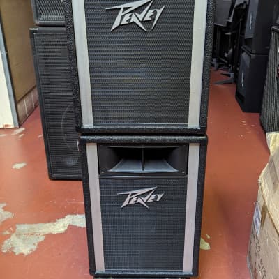 Peavey DTH 1 Speakers (Pair) | Reverb