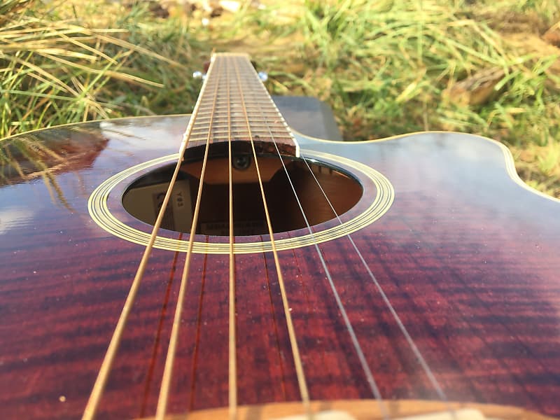 Takamine DSP 110 MD 1996 Mahogany burst | Reverb