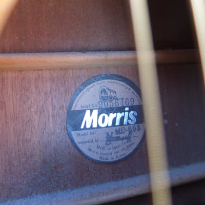 Morris MD-503 アコースティックギター Morris MD 503 90s