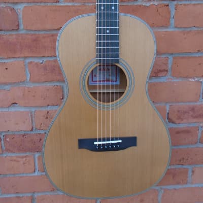 Kala KA-GTR-PLR Parlor Size Guitar w/bag image 3