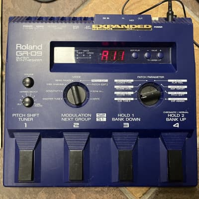 Roland GR-09 With pickups, cables, manual, gig bag