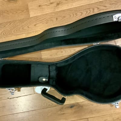 Viking F style mandolin case image 2