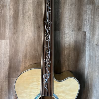 Michael Kelly Acoustic Bass Guitar - DragonflyFLN5 - 5 String Fretless - Hard Case - Lowest Price image 5