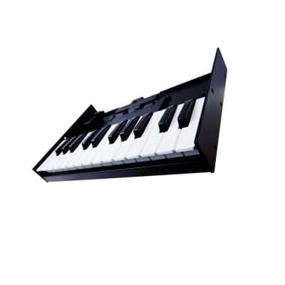Roland K-25M High-Quality 25-Key, Velocity-Sensitive, Boutique Module Dock USB MIDI Portable Keyboard with Three-Position Stand, 12-Inch image 6