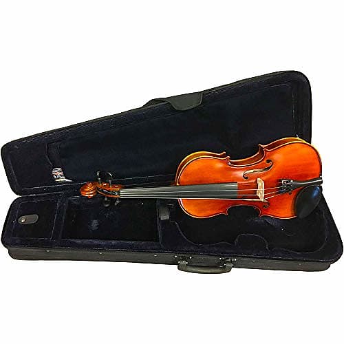 Alysée VN30 3/4 Violin - Quality Music Instrument for Sale | Reverb