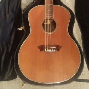 Washburn wg4s deals