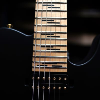 Schecter  USA CUSTOM SHOP PT-7 Black Satin 7-String Electric Guitar w/ Black Tolex Case image 9