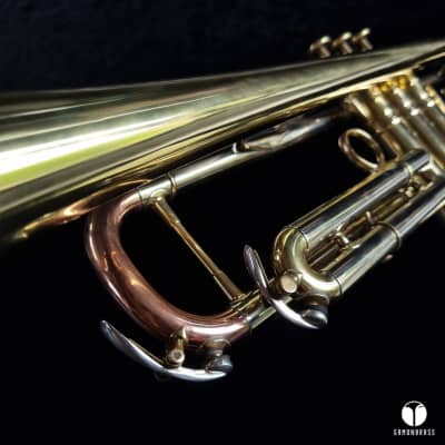 D. Calicchio 1s7 ML Sterling Silver leadpipe trumpet case gamonbrass image 14