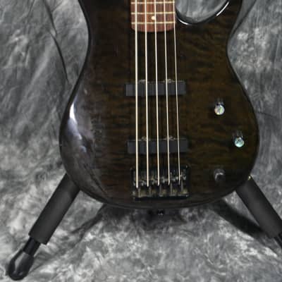 Peavey Millennium BXP 5 String Bass w/case image 1